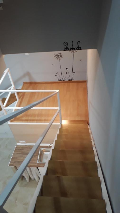 圣费尔南多Duplex Daises公寓 外观 照片
